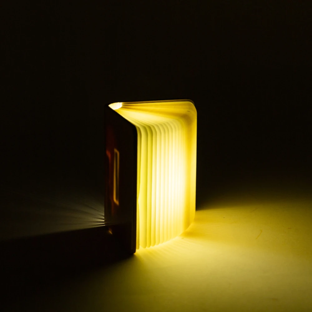 ΒΙΒΛΙΟ ΦΩΤΙΖΟΜΕΝΟ 8,5x12, 8 LED, ΕΠΑΝΑΦΟΡΤΙΖΟΜΕΝΗ ΜΠΑΤΑΡΙΑ, ΘΕΡΜΟ ΛΕΥΚΟ/ΘΕΡΜΟ/ΛΕΥΚΟ LED, USB TO TYPE C WIRE, ΠΡΟΕΚΤΑΣΗ ΠΑΡΟΧΗΣ 30cm, IP20