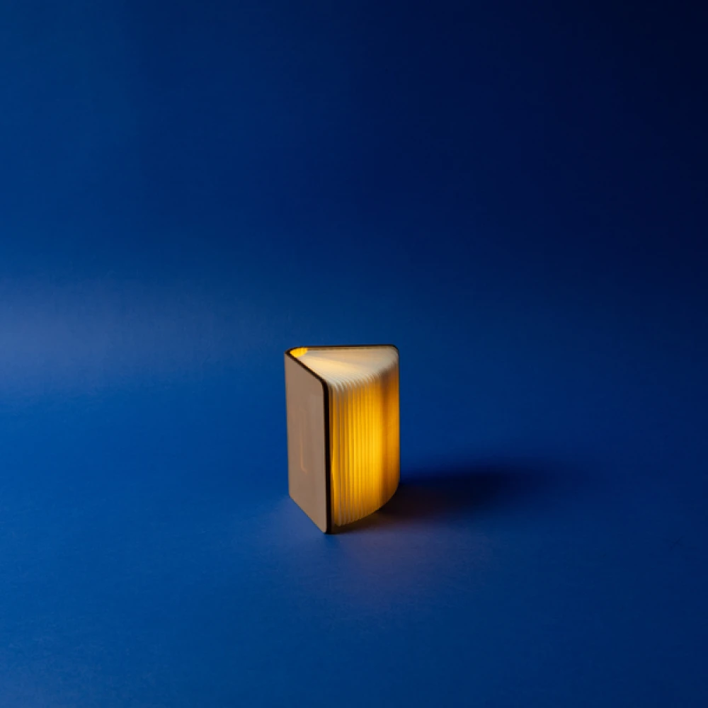 ΒΙΒΛΙΟ ΦΩΤΙΖΟΜΕΝΟ 8,5x12, 8 LED, ΕΠΑΝΑΦΟΡΤΙΖΟΜΕΝΗ ΜΠΑΤΑΡΙΑ, ΘΕΡΜΟ ΛΕΥΚΟ/ΘΕΡΜΟ/ΛΕΥΚΟ LED, USB TO TYPE C WIRE, ΠΡΟΕΚΤΑΣΗ ΠΑΡΟΧΗΣ 30cm, IP20