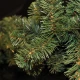 Κλαδί Πράσινο, Φ22, 230CM - Magic Christmas