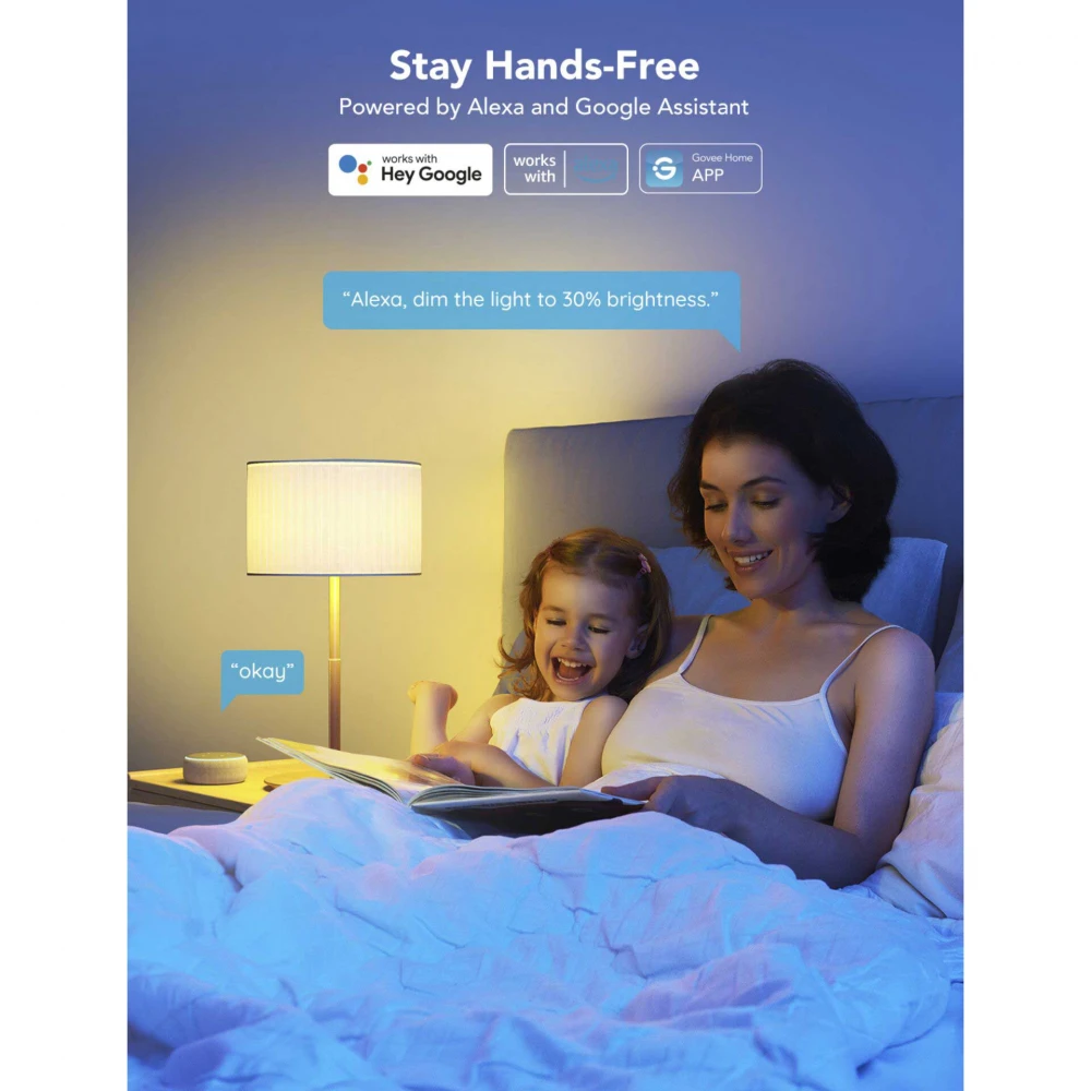 Govee Smart Wifi & BLE Light Bulb 9W H6004