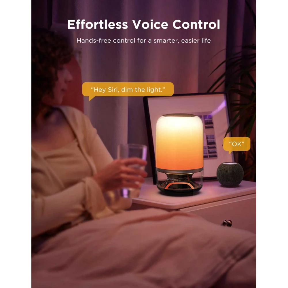 GOVEE H6020 TABLE LAMP 2 PRO ME RGBICWW ΦΩTIΣMO KAI ENΣΩMATΩMENO HXEIO JBL 10W