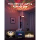 Govee Uplighter Floor Lamp H60B0