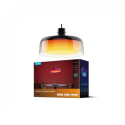 GOVEE RGBICWW PENDANT LIGHT H60C1