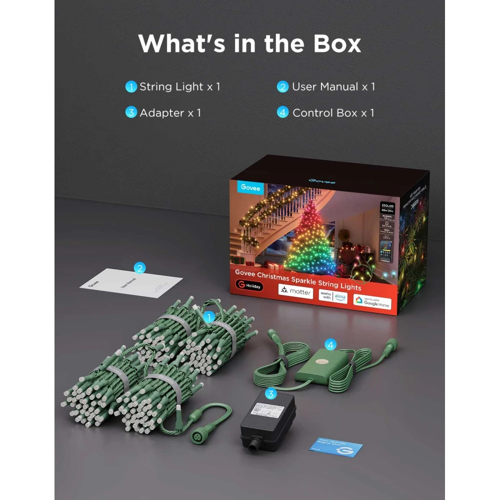 Govee Christmas Sparkle String Lights H6870