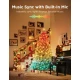 Govee Christmas Sparkle String Lights H6870
