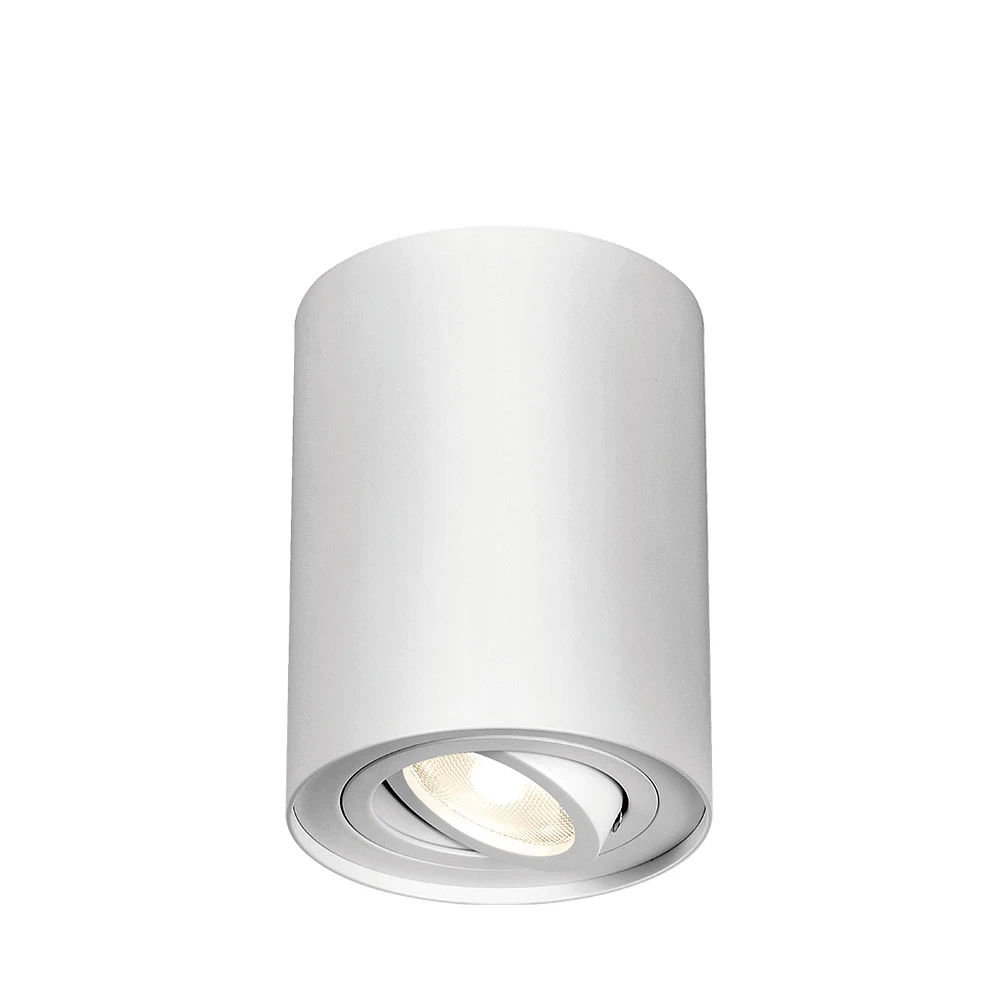 Σποτ Οροφής Άσπρο Κύλινδρος 1xGU10 GAMA-SR - Braytron