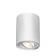 Σποτ Οροφής Άσπρο Κύλινδρος 1xGU10 GAMA-SR - Braytron
