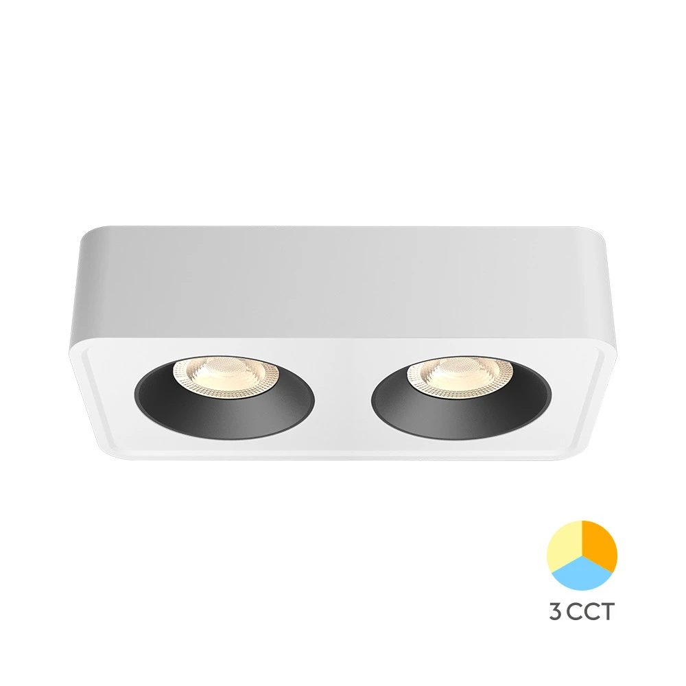 Σποτ οροφής "Gata" 2 x 10w 1800lm 3cct Λευκό - Braytron