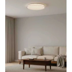 InLight LED Πλαφονιέρα Οροφής Ακρυλική 27W 4CCT D40cm - HALO NEBULA