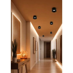 LED Φωτιστικό Οροφής Μαύρο 8W 3000K D17cm Dimmable - Dark-XS BK - LUCIDO