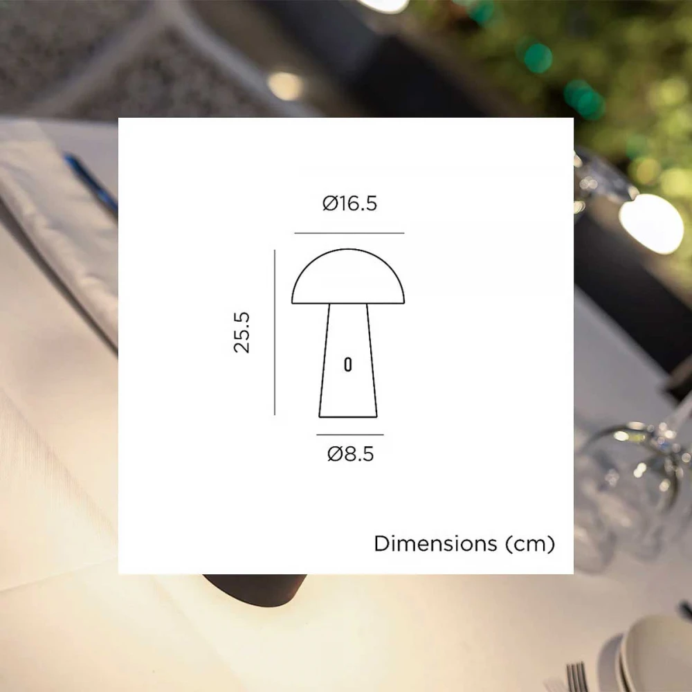 SHITAKE - Επιτραπέζιο Φωτιστικό Φορητό Ρυθμιζόμενο Μαύρο - New Garden