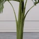 Τεχνητο Φυτο Φοινικας "Viridis" Πρασινο 100 εκ.