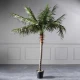Τεχνητό Δέντρο Φοίνικας 210 εκ