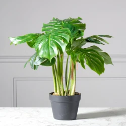 Τεχνητο Φυτο Μονστερα Deliciosa "Tropic" Πρασινο 80 εκ.