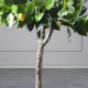 Τεχνητό Δέντρο Λεμονιά 120 εκ.