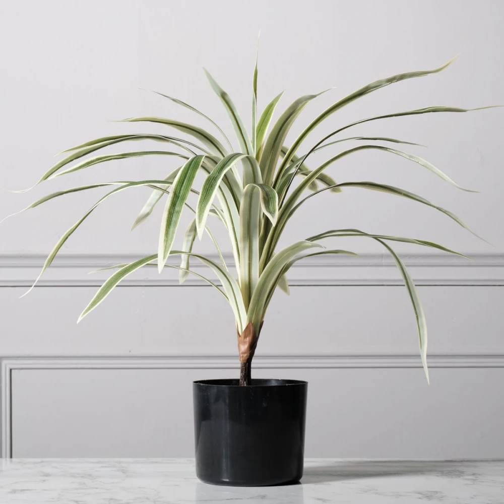 Τεχνητό Φυτό Δράκαινα 60 εκ.