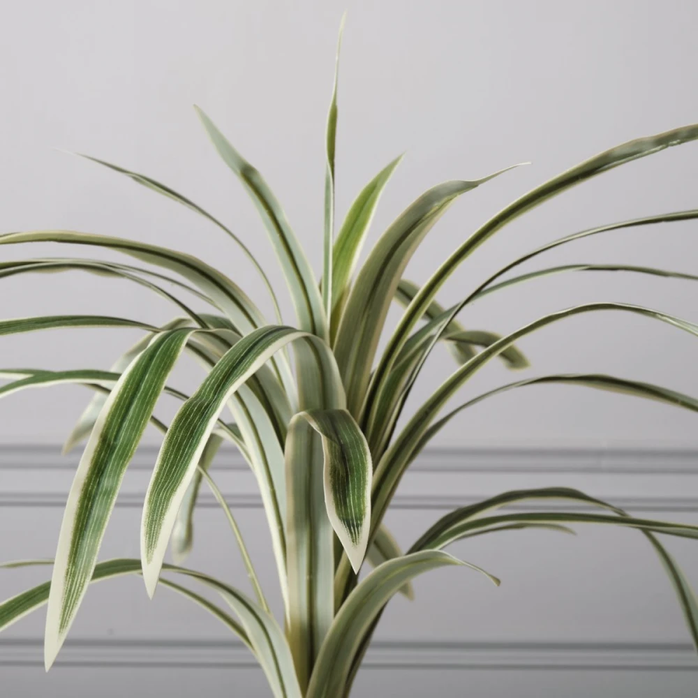 Τεχνητό Φυτό Δράκαινα 60 εκ.