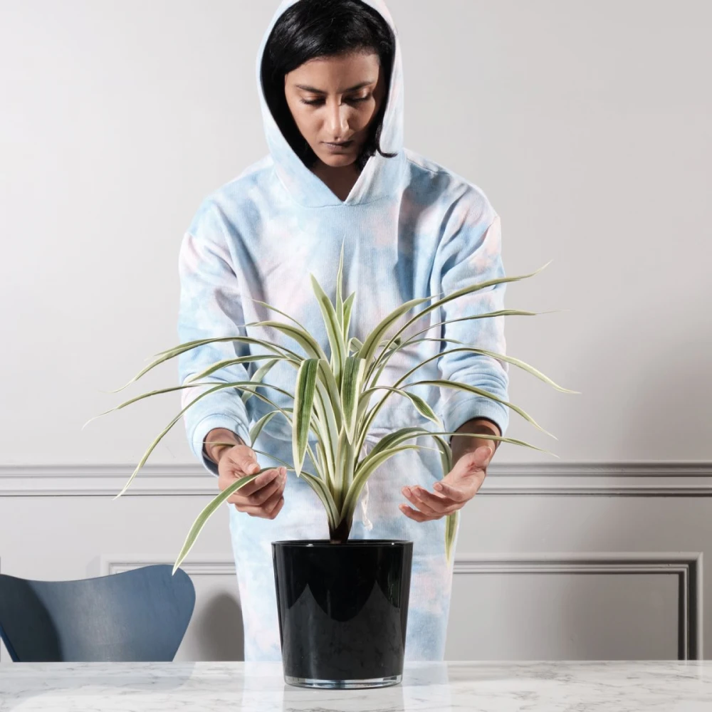 Τεχνητό Φυτό Δράκαινα 60 εκ.