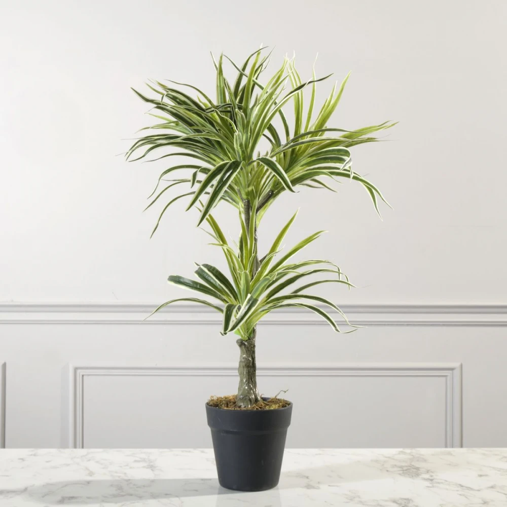 Τεχνητό Φυτό Δράκαινα White Jewel 70 εκ