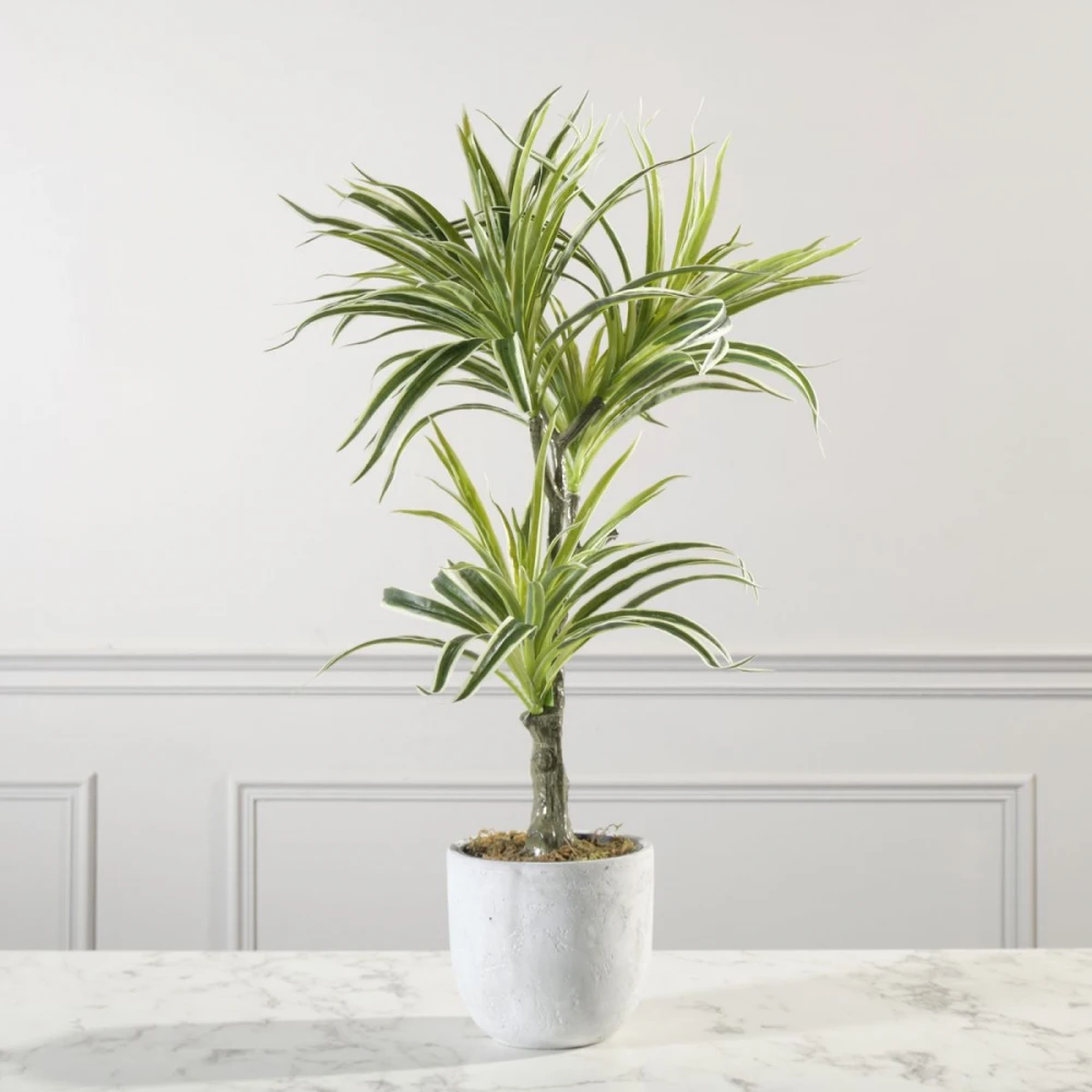 Τεχνητό Φυτό Δράκαινα White Jewel 70 εκ