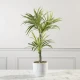Τεχνητό Φυτό Δράκαινα White Jewel 70 εκ