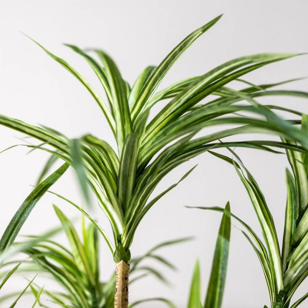 Τεχνητο Φυτο Δρακαινα Πρασινο 80 εκ.