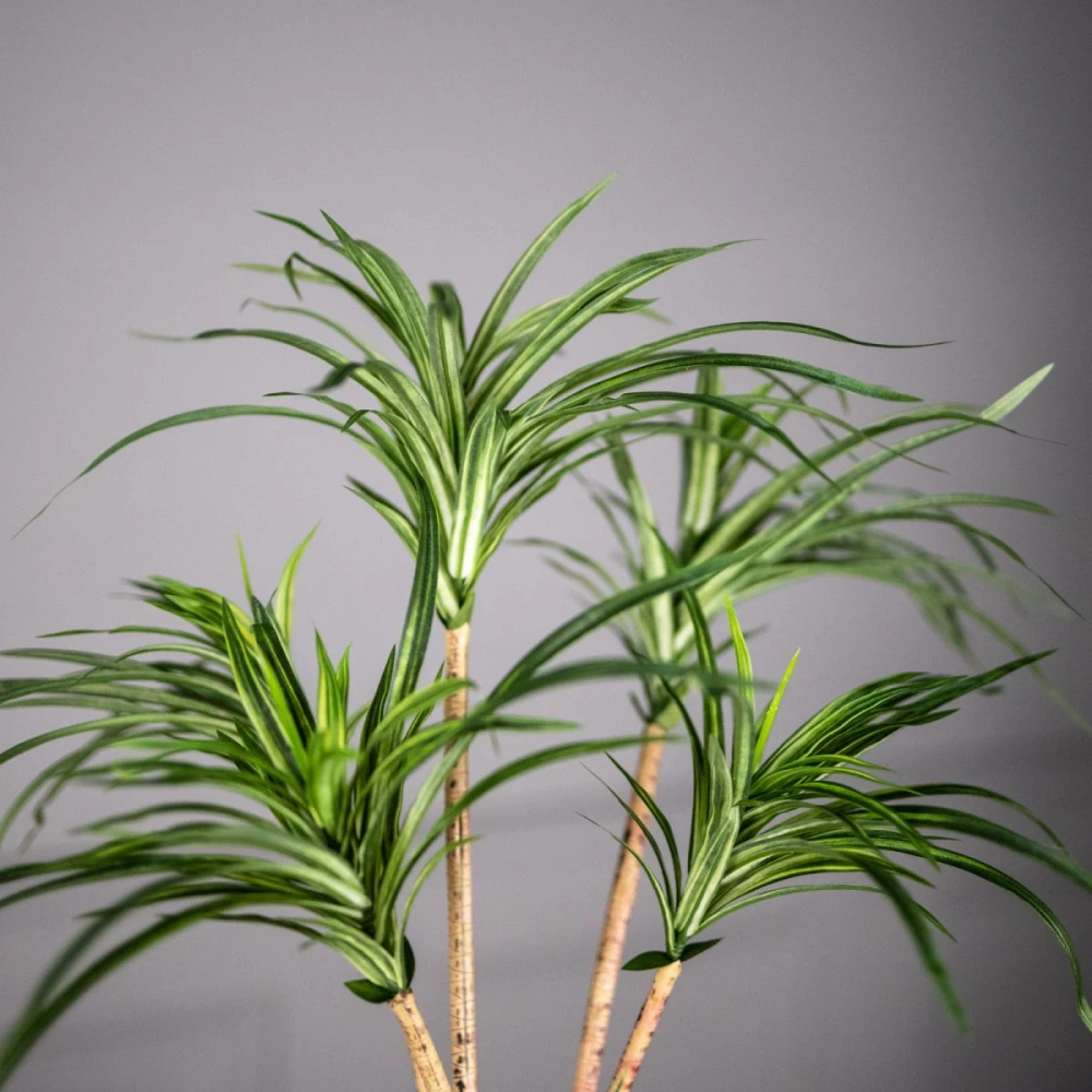 Τεχνητο Φυτο Δρακαινα Πρασινο 80 εκ.