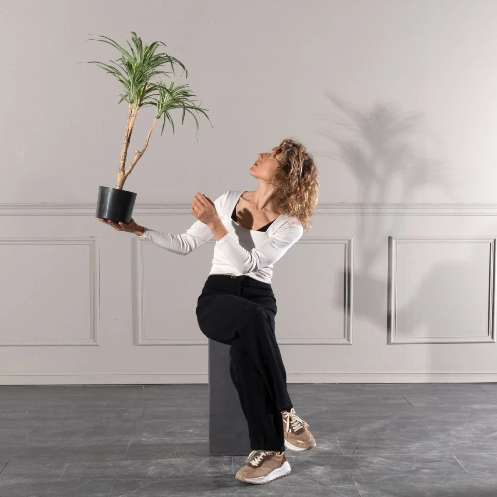 Τεχνητο Φυτο Δρακαινα Πρασινο 80 εκ.