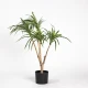 Τεχνητο Φυτο Δρακαινα Πρασινο 80 εκ.