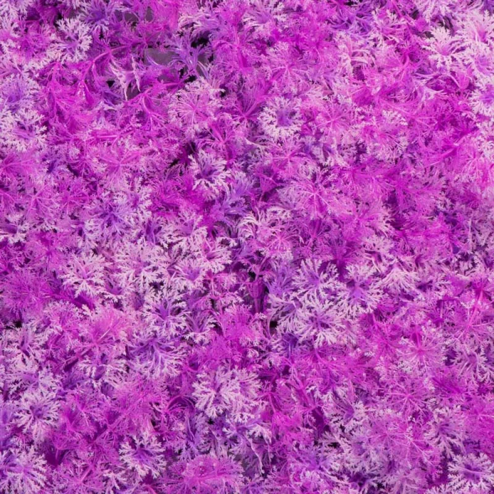  Τεχνητή Φυλλωσιά Λιλά 50x50 εκ.