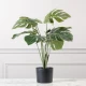 Τεχνητό Φυτό Μονστέρα 60 εκ.
