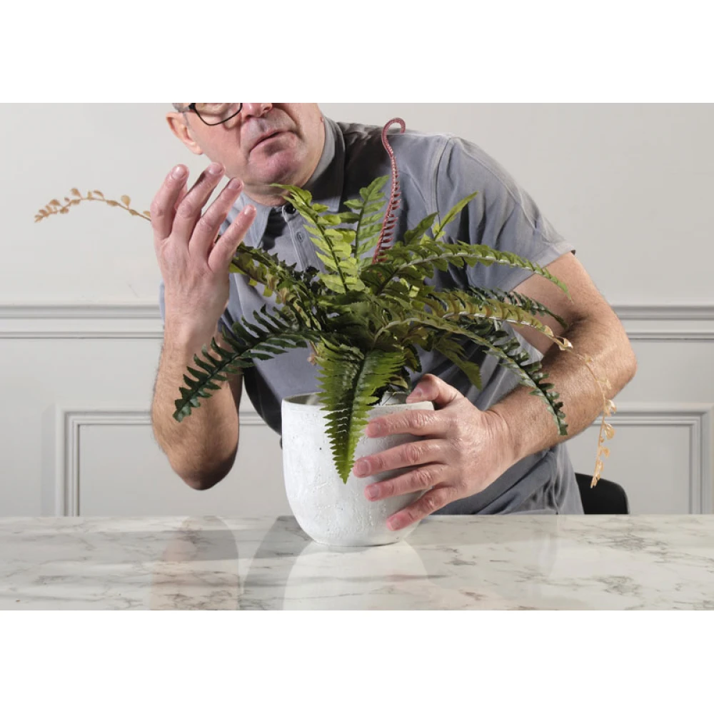 Τεχνητό Φυτό Φτέρη Boston 50 εκ.