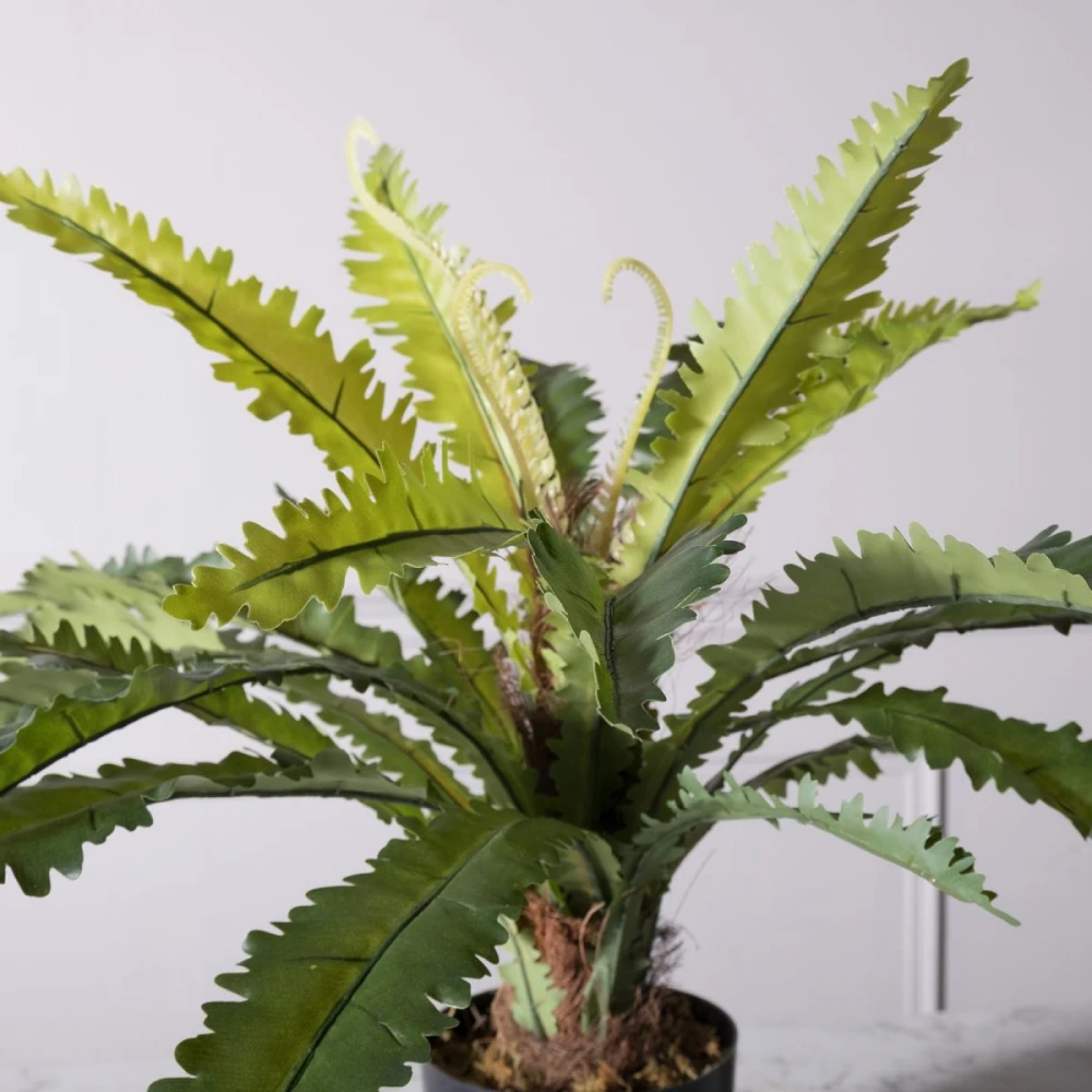 Τεχνητο Φυτο Ασπληνιο Antiquum "Fern" Πρασινο 50 εκ.