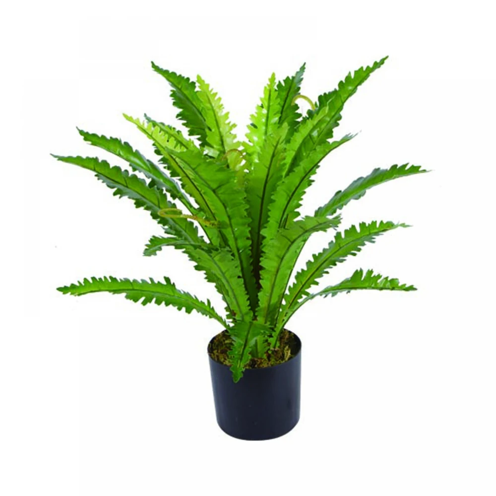 Τεχνητο Φυτο Ασπληνιο Antiquum "Fern" Πρασινο 50 εκ.