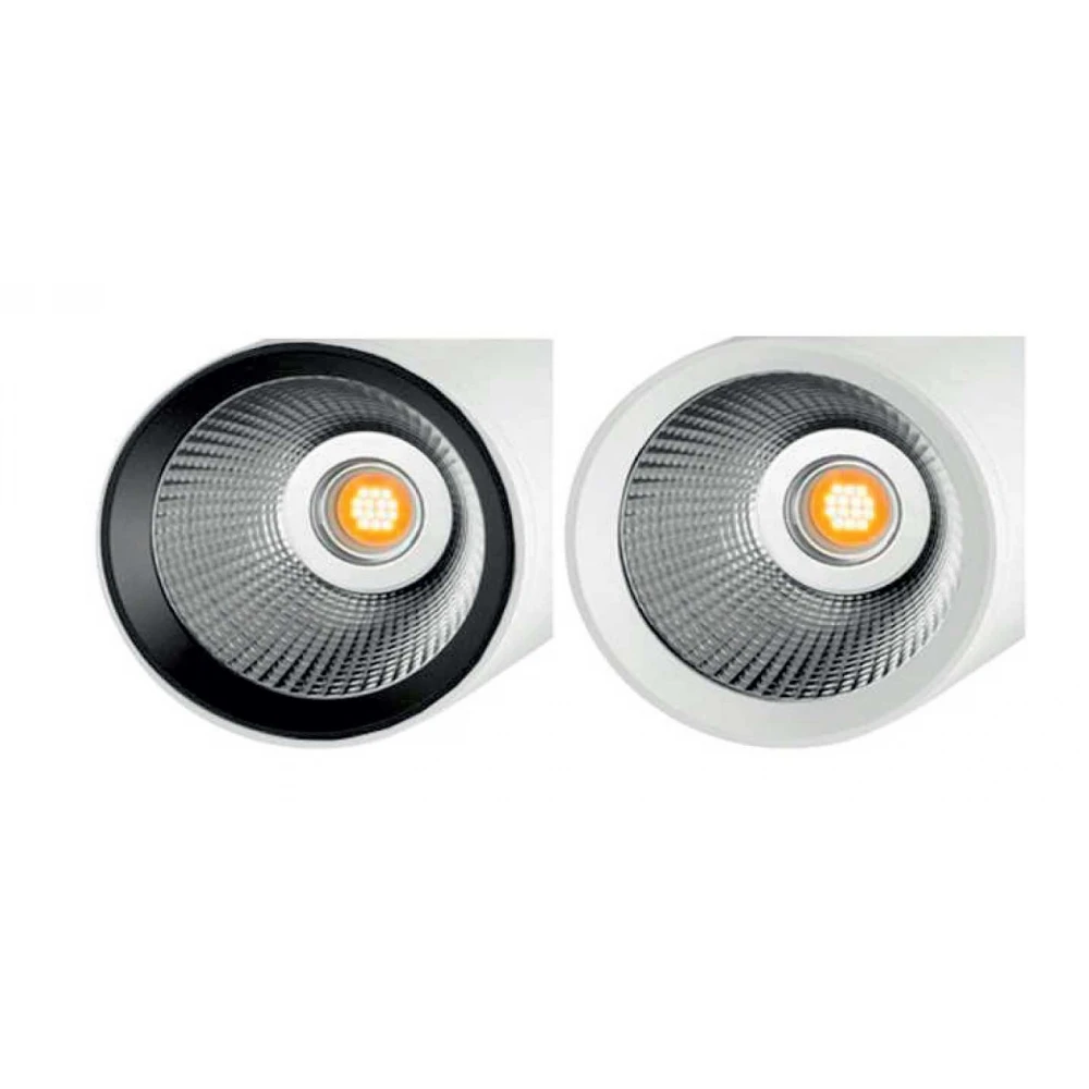 Black snoot - ring - UNIVERSE