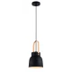 Κρεμαστό Φωτιστικό Μονόφωτο Μαύρο Ø19cm 1x E27 40W max CARLA - Viokef