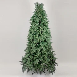 ΔΕΝΤΡΟ ΕΛΑΤΟ, ΠΟΡΤΟΓΑΛΙΑ, 210cm