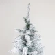 ΔΕΝΤΡΟ ΕΛΑΤΟ ΧΙΟΝΙΣΜΕΝΟ, ΣΚΩΤΙΑ, 210cm