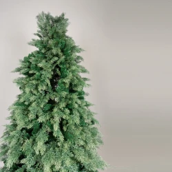 ΔΕΝΤΡΟ ΕΛΑΤΟ, ΓΑΛΛΙΑ, 210cm