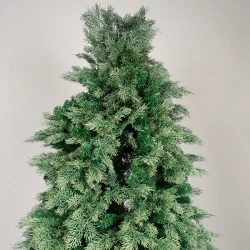 ΔΕΝΤΡΟ ΕΛΑΤΟ, ΠΟΡΤΟΓΑΛΙΑ, 210cm