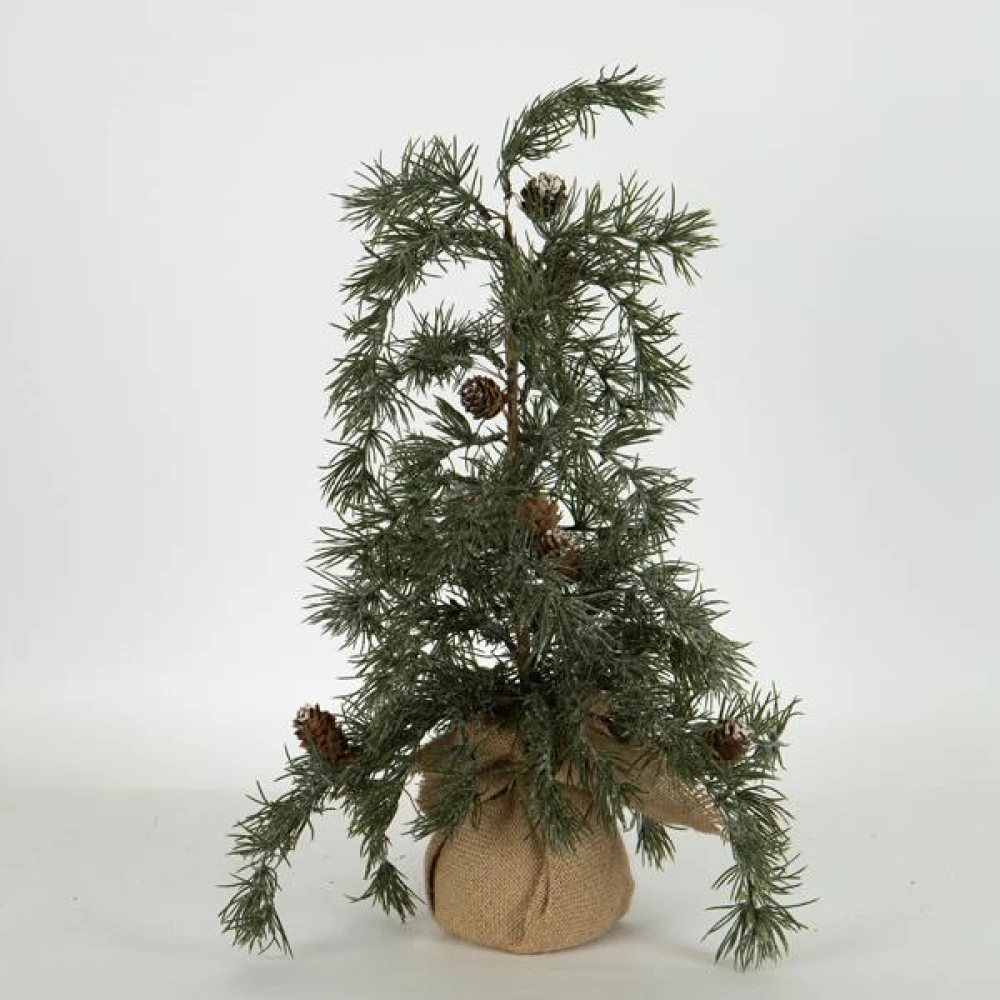 ΔΕΝΤΡΑΚΙ ΙΤΙΑ, 54cm