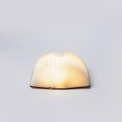 ΒΙΒΛΙΟ ΦΩΤΙΖΟΜΕΝΟ 8,5x12, 8 LED, ΕΠΑΝΑΦΟΡΤΙΖΟΜΕΝΗ ΜΠΑΤΑΡΙΑ, ΘΕΡΜΟ ΛΕΥΚΟ/ΘΕΡΜΟ/ΛΕΥΚΟ LED, USB TO TYPE C WIRE, ΠΡΟΕΚΤΑΣΗ ΠΑΡΟΧΗΣ 30cm, IP20