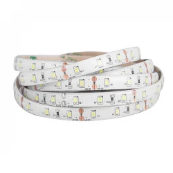 ΤΑΙΝΙΑ LED 5M 10W 24V 2700K IP54 PRO Eurolamp