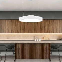 ΦΩΤΙΣΤΙΚΟ ΚΡΕΜΑΣΤΟ LED 40W 3000Κ 50X9 ΛΕΥΚΟ - EUROLAMP