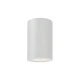 InLight Reindeer 1xGU10 Outdoor Ceiling Down Light White D:14.1cmx9,4cm (80300524)