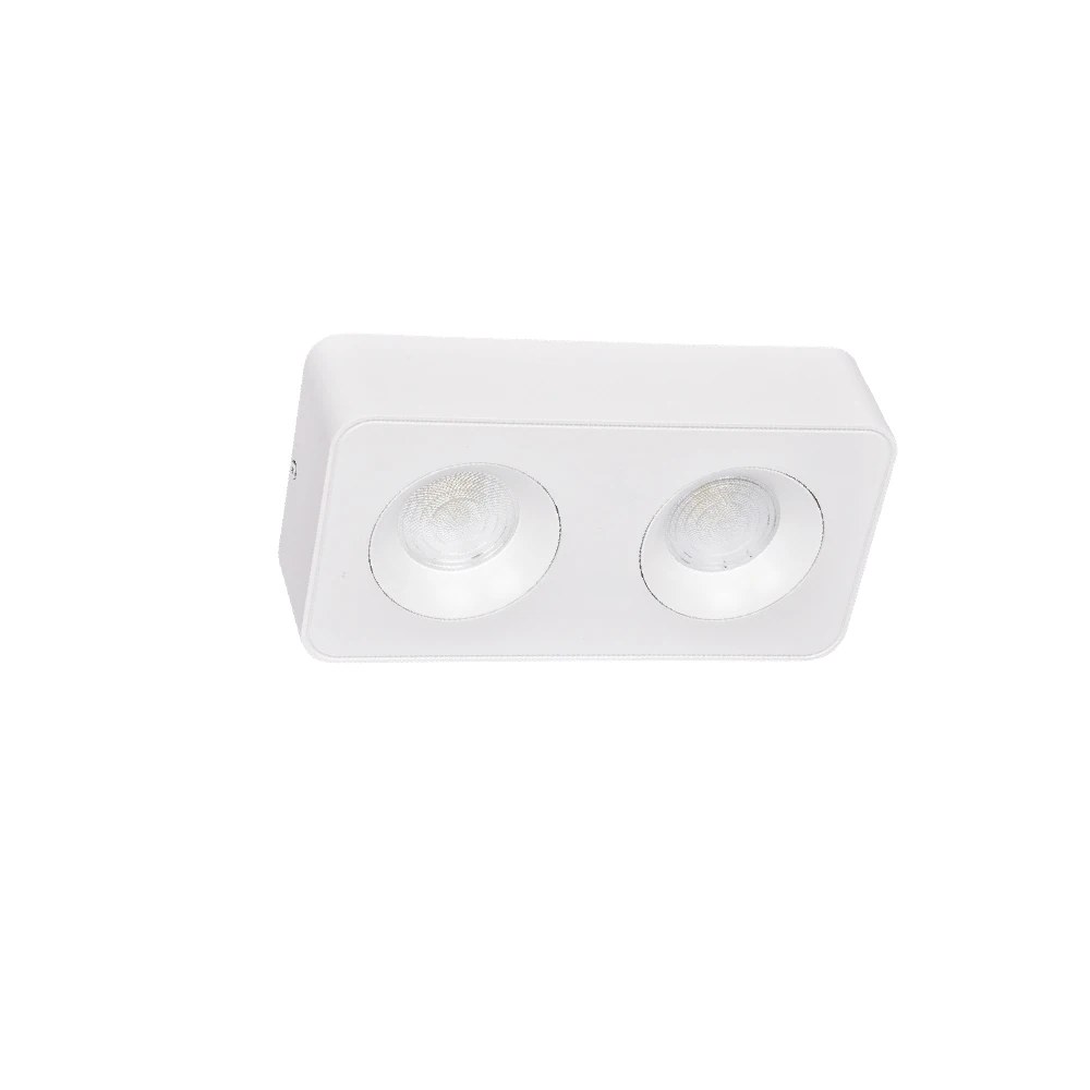 Inlight Downlight σποτ 2*8W 3CCT σε λευκή απόχρωση (X00270W)