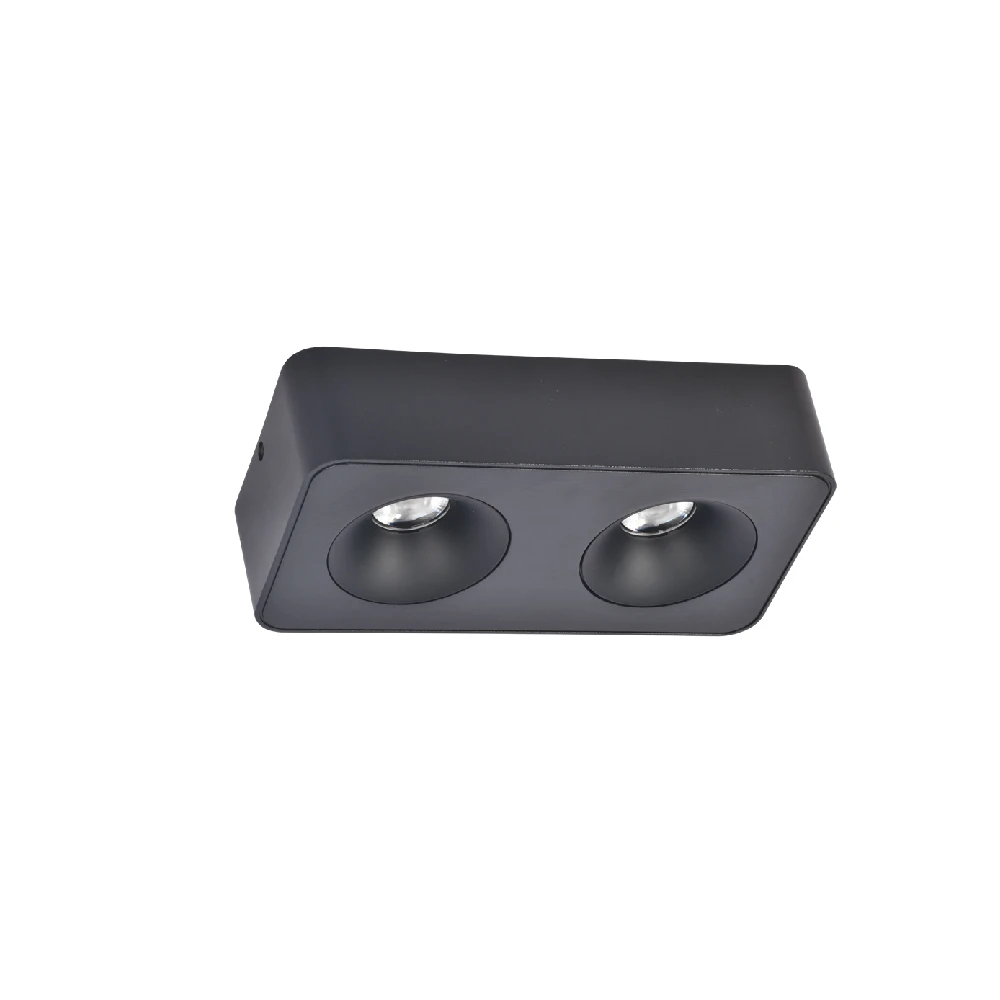 InLight Downlight Mounted σποτ 2*8W 3CCT σε μαύρη απόχρωση (X00270B)