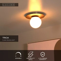 Επιτοίχιο Φωτιστικό Ματ Χρυσό Ø25cm 1xE27 TRICIA Lucide
