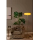 Φωτιστικό δαπέδου Ø40cm 3xG9 Ταμπά SENTINO Lucide