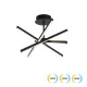 LED Φωτιστικό Οροφής Dimmable Μαύρο 30W Ray